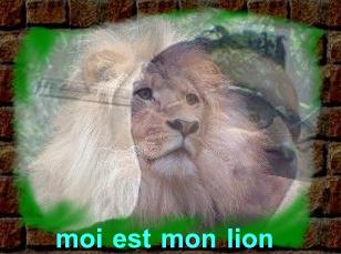 moi est mon lion